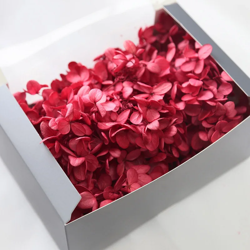 20g High Quality Natural Fresh Preserved Flowers Dried Mid-wood Hydrangea Flower Head For DIY Real Eternal Life Flowers Material - Цвет: red