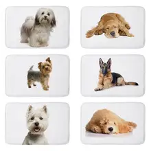 Carlin Pet chien chat imprimé flanelle tapis de sol anti-dérapant Tapete tapis de sol cuisine paillasson bienvenue tapis pour porte d'entrée(China)