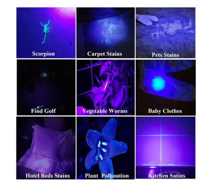 QQ截图20200928231130