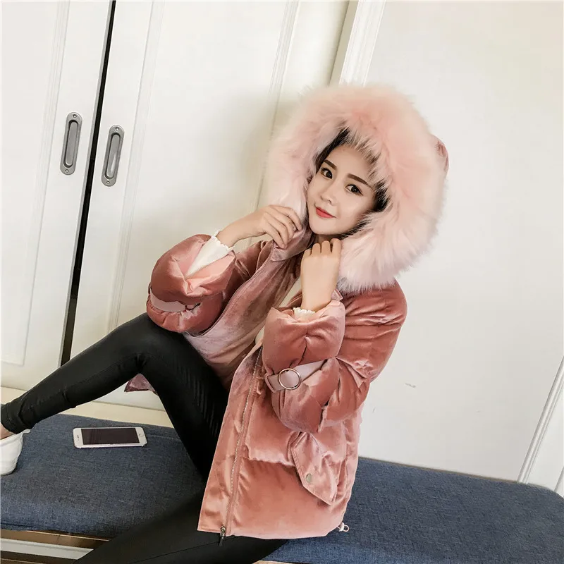 Photo Shoot Winter New Style Korean-style Short Hooded Large Fur Collar down Feather Cotton-padded Clothes WOMEN'S Dress Thick d