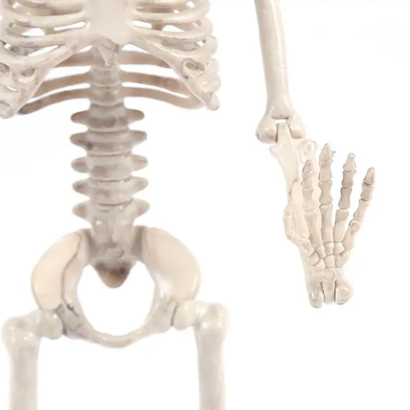 На все тело висящий взрослый человеческий скелет Хэллоуин реквизит sciential Bones Models реалистичные полимерные черепа вечерние строительные декорации K92D