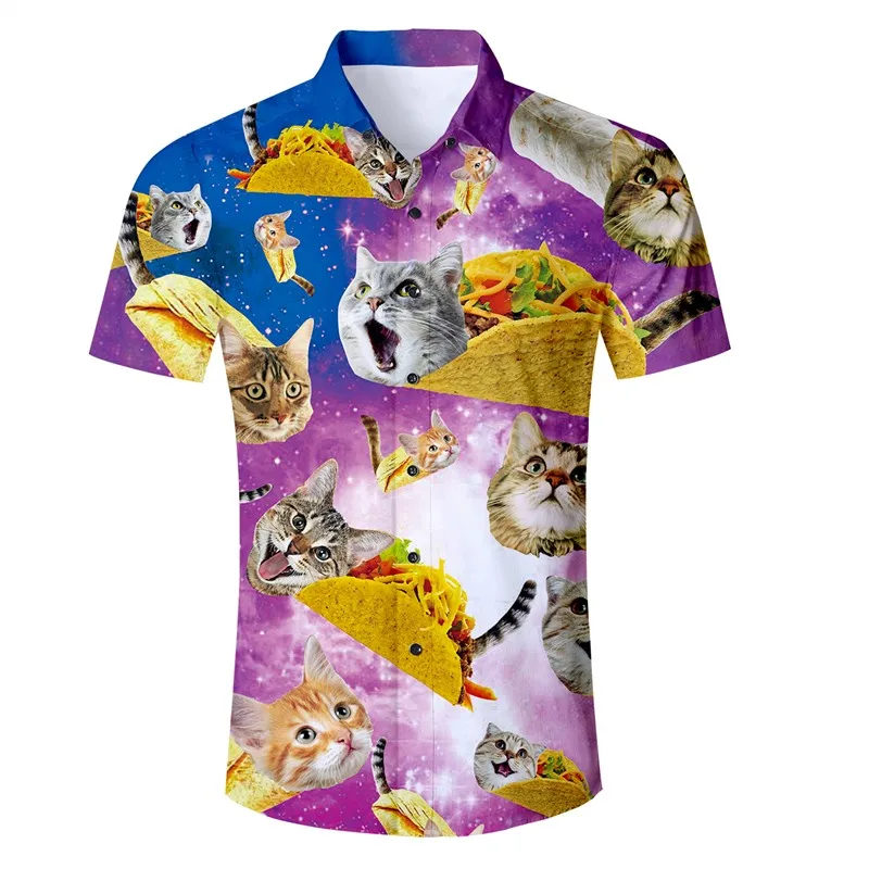 Raisvern забавная Мужская рубашка Tacos Cat 3d принт гавайская рубашка Алоха летние мужские топы на пуговицах Праздничная пляжная одежда Прямая поставка