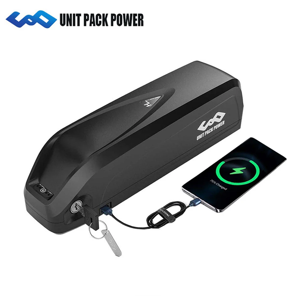 Batteria Hailong 48V 20AH Per Bici Elettrica | Con Caricabatterie Rapido 3A | Adatta A Motori 50-1500W | Piastra 5 Pin E BMS 30A