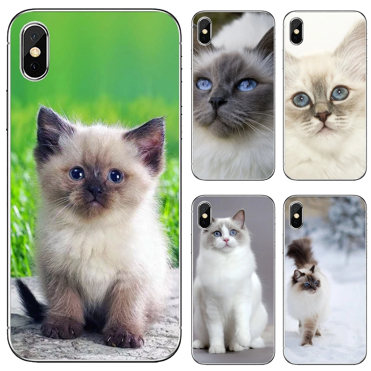 Мягкий мини-чехол для Huawei P30 P40 P20 P7 P8 P9 P10 Lite Plus Pro 2015 2016 2017 pet-ragdoll-cat-blue-eyes | Мобильные