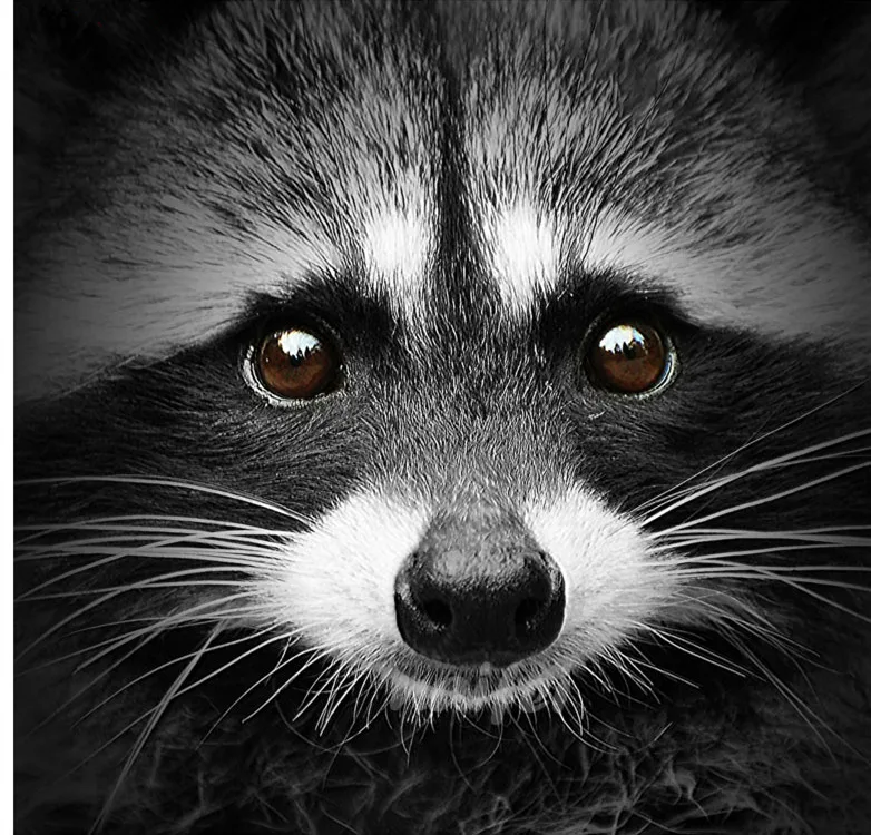 Hdcdbae969a484e679be663592e8a3724p