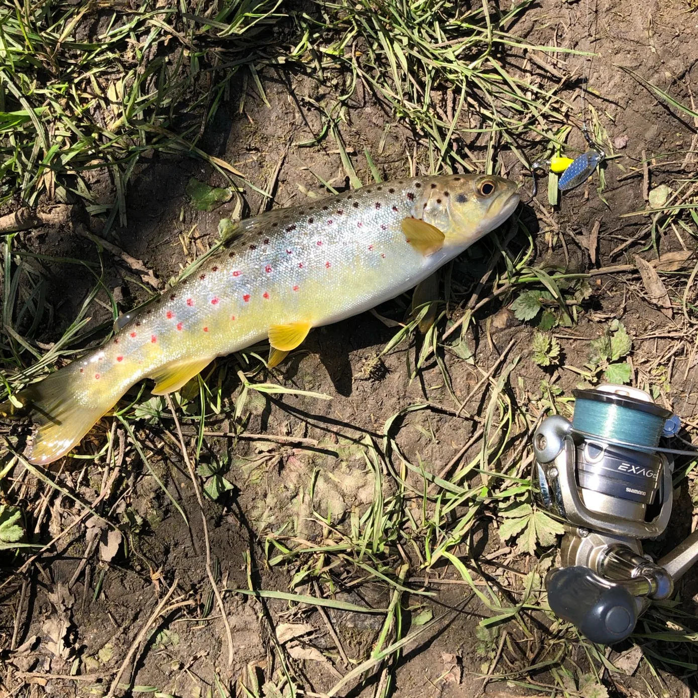 Swolfy 5pcs 2.5g/4.5g 미니 싱글 후크 지그 낚시 미끼 마이크로 지그 스피너 스푼 하드 미끼 크랭크베이트 스피너 낚시 태클