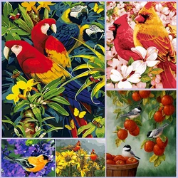 Kit de decoración para el hogar, pintura por números de aves y animales, dibujo de loro sobre lienzo, arte pintado a mano, para regalo