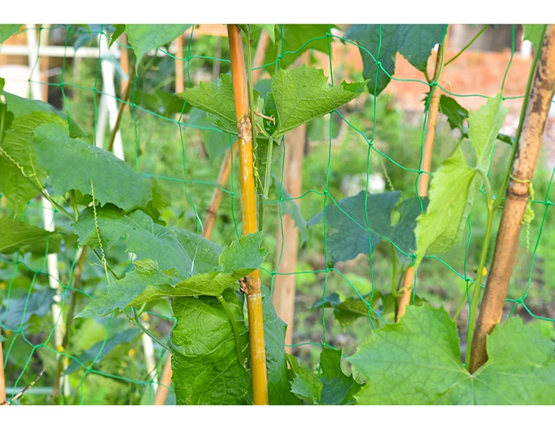 O1CN0125FUaY1JMuXlmbNjs_!!1602131015