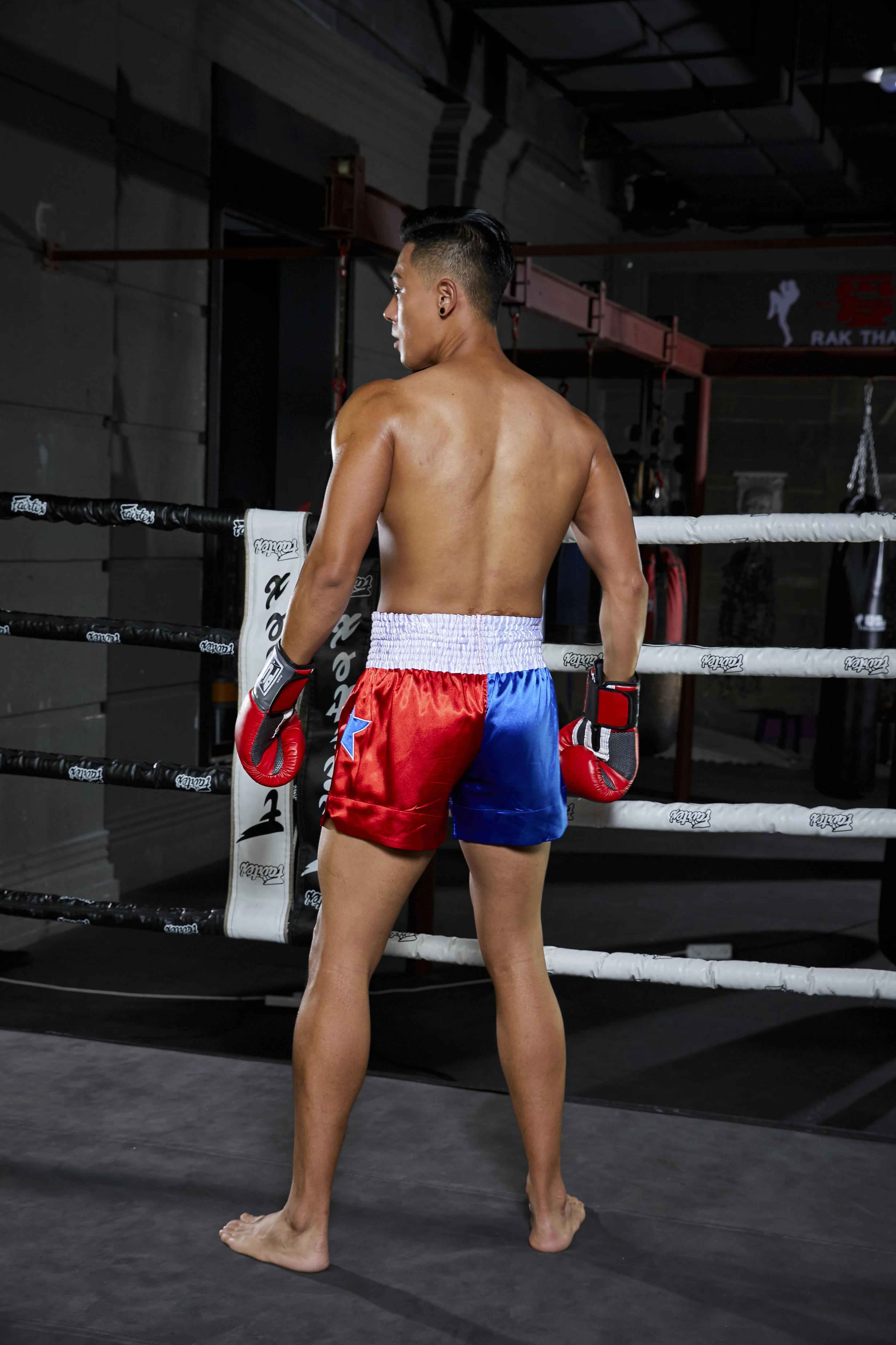 PUGILIST пять звезд серии Муай Тай брюки mma шорты для единоборств фитнеса боевых искусств тренировки бокса