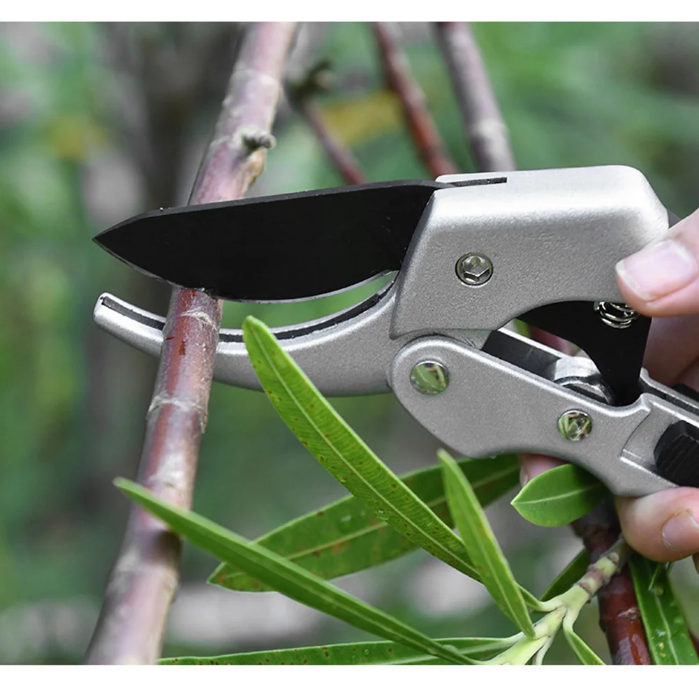 CCKUHN Sécateur à Dérivation, Sécateur Manuel à Lame Tranchante En Acier Professionnel Robuste, Coupe-Arbres, Cisailles De Jardin Pour Arbres De