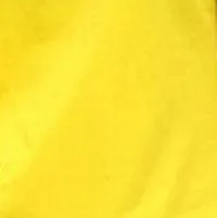 Audale Cotton Summer 2019 New White High Elasticity T-shirt for Men and Women with Round Collar Audale Cotton Summer 2019 New White High Elasticity T-shirt for Men and Women with Round Collar