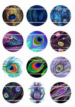 

Handmade Colorful picture Feathe Round Glass Cabochons Refrigerator magnet for Necklace Decoration and Phone Chain Accessaries18