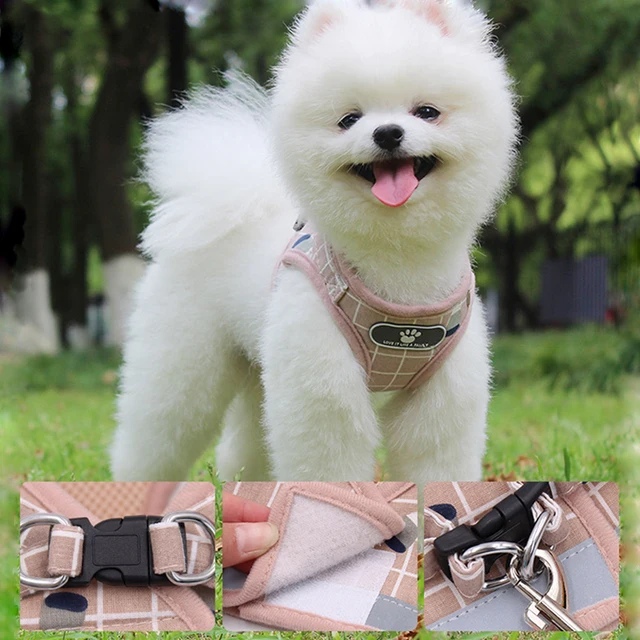 Nylon Mesh Kitten Puppy Reflective Dogs Harness And Leash Set Dogs Vest Harness Leads Pet Clothes For Small Dogs 2
