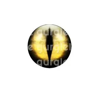 QQ截图20190510120907