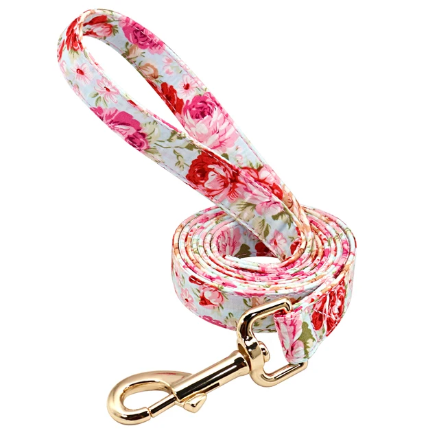 pink-leash