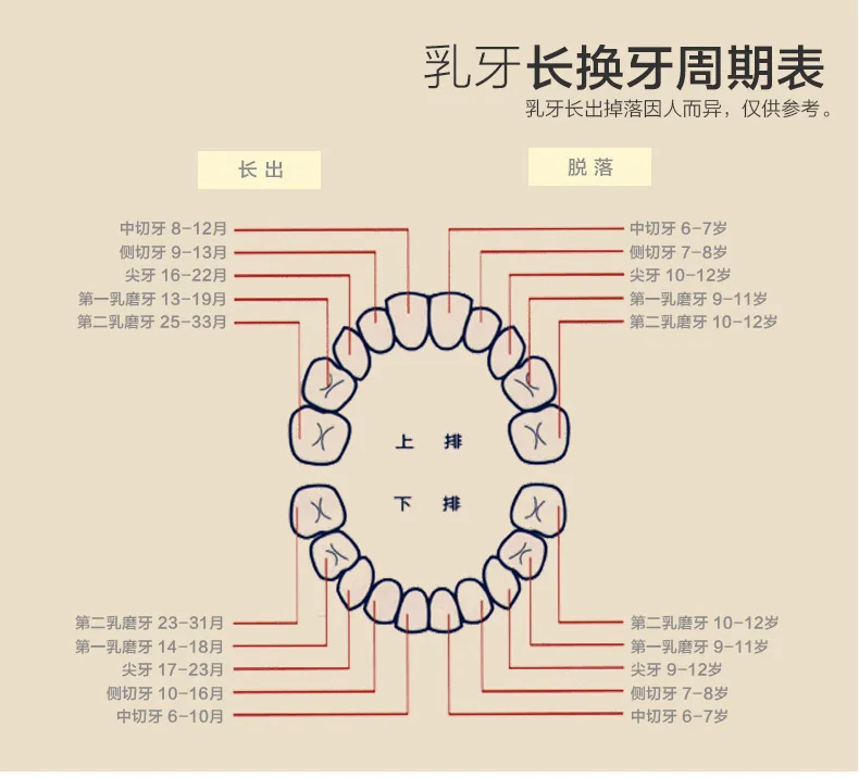 Logwood Children Lanugo Baby Teeth Box Teeth Save Collection Souvenirs Chinese Zodiac Cool Gift