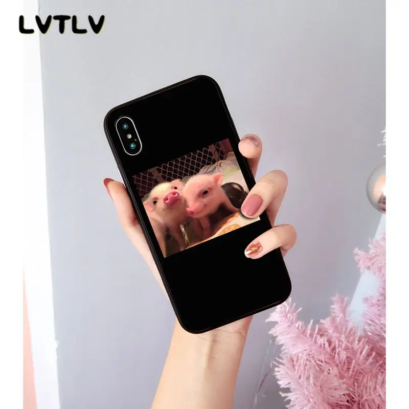 Cute Little Pink Pet Pig