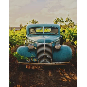 

Photo Backgrounds Old Vintage Car garden Grass Baby Portrait Scene Photography Backdrops Photocall Photo Studio