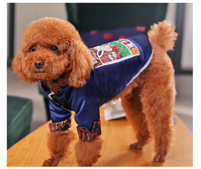 HTB1lH0uXODxK1RjSsphq6zHrpXaV