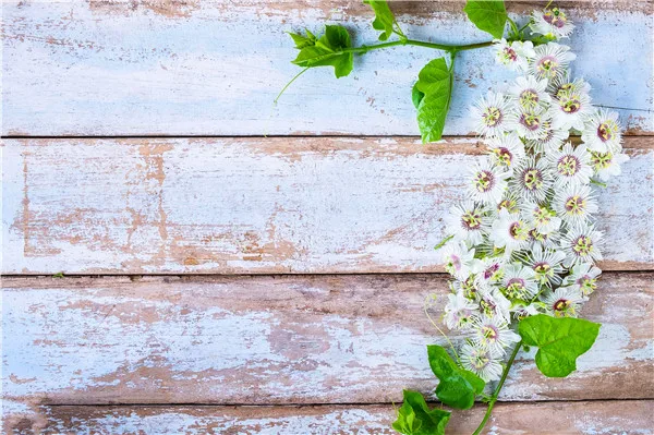 

Vinyl Custom Photography Backdrops Prop Flower and Wood Planks theme Photo Studio Background M191110-08