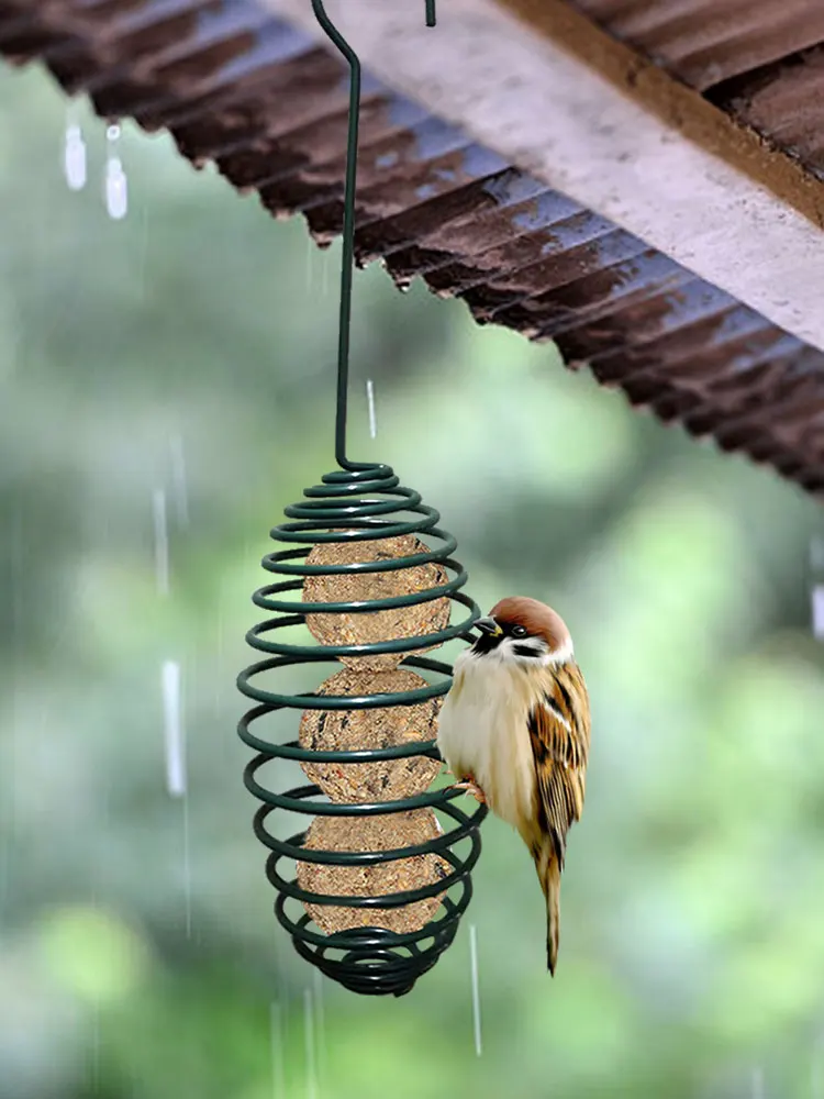 Mangeoire À Oiseaux Sauvages Suspendus, Outil d'alimentation en Spirale  Automatique avec Transport, Support Boule Graisse en Métal pour Jardin