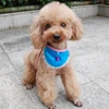 Pet Products