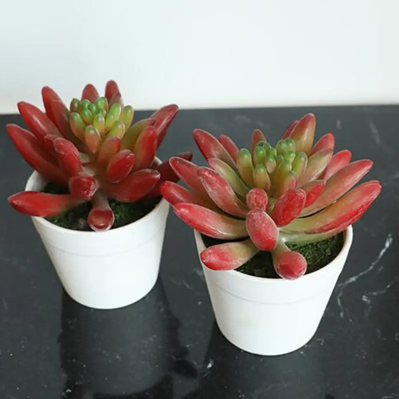1 шт. искусственные растения яркие кактусы суккулент мини-растения с вазой для офисного стола домашние декоративные растения