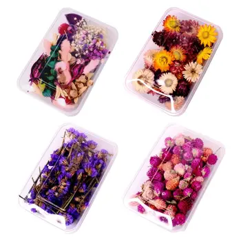 

1Box Crystal Epoxy Filler Dry Flower Mixed Nail Stickers Decorations Resin Filling Material Crafts Art Jewelry Making DIY