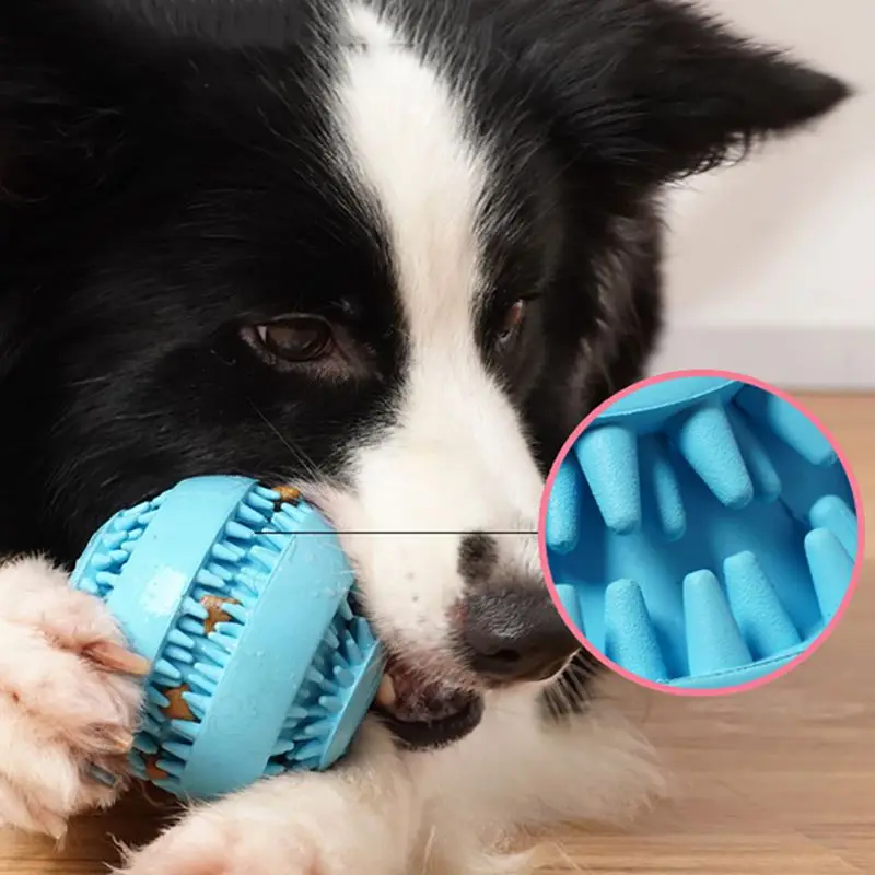 Ball Leak Food Rubber Toy DogToothbrush Non Toxic Bite Resistant Teeth Cleaning Chew Toy