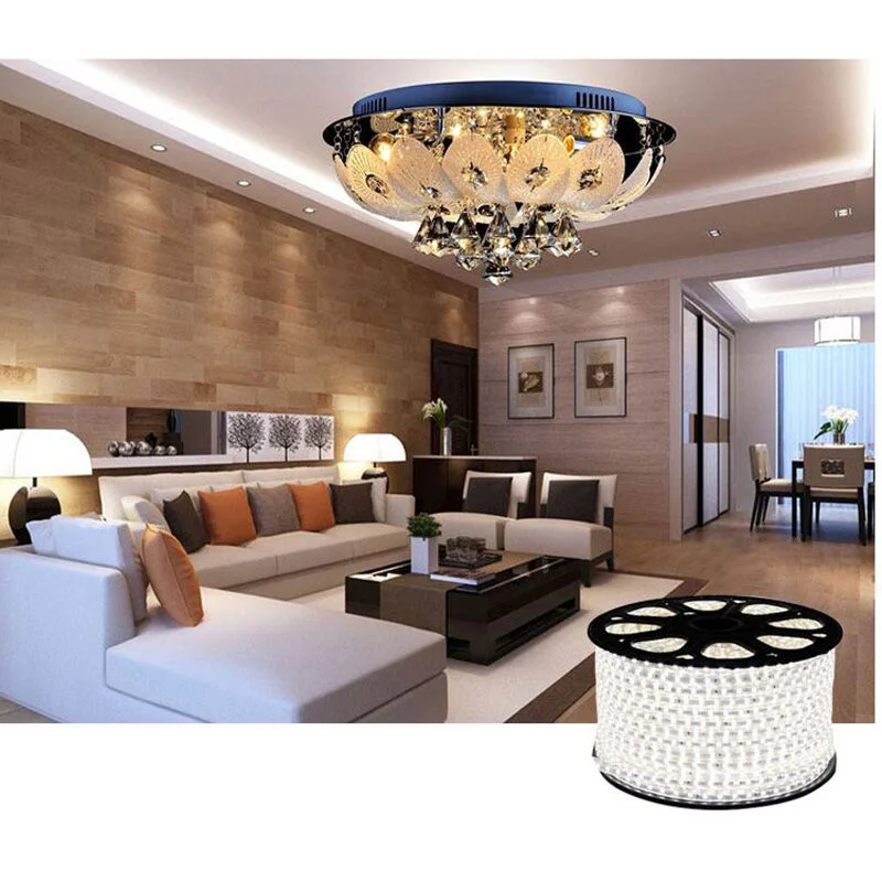 220V Waterproof Led strip light with EU Plug 2835 SMD flexible Rope Light,120 LedsM high brightness outdoor indoor decoration (22)