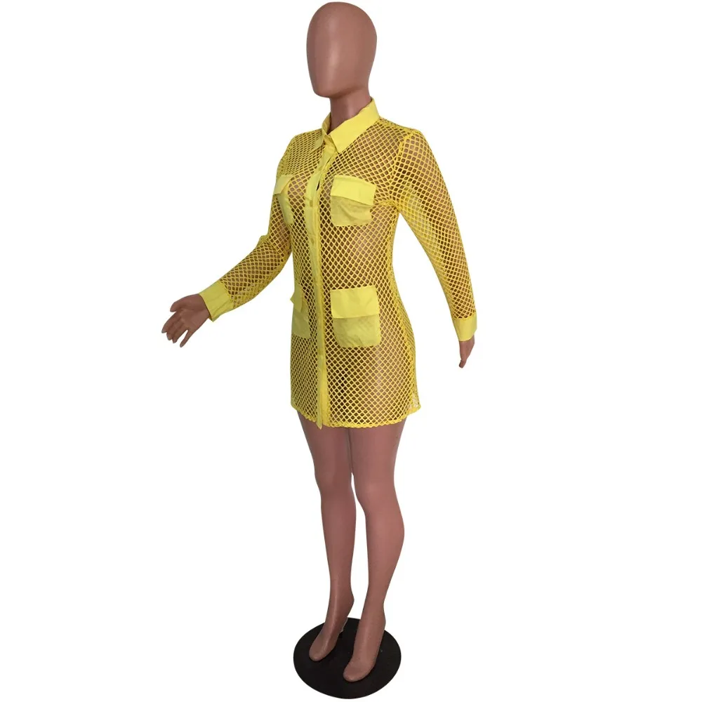 12430363993_1135413410