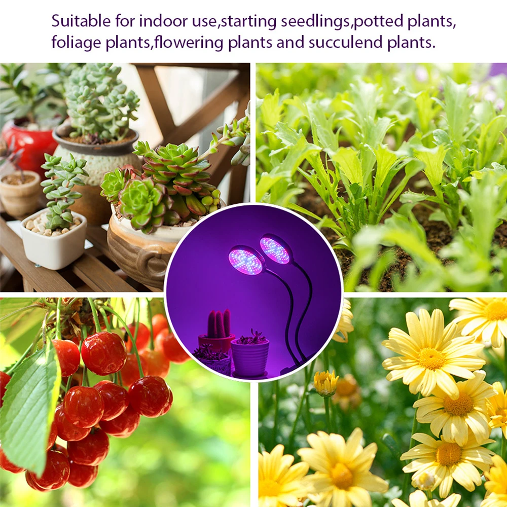 LED Grow Lights Full Spectrum Led Phyto Lamp Hydroponics Light USB Desktop Plant Growth Lighting For Indoor Flowers Phyto Lamp 2