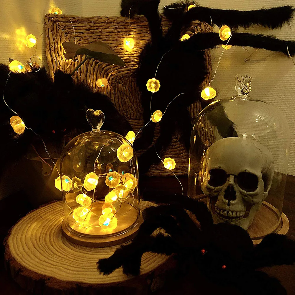 91ZEjH5ZGzL._AC_SL1500_