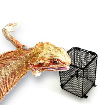 

Reptile Heater Guard Heating Bulb Lamp Enclosure Cage Protector Metal Mesh Lamp Cover Lampshade Temperature Control Product