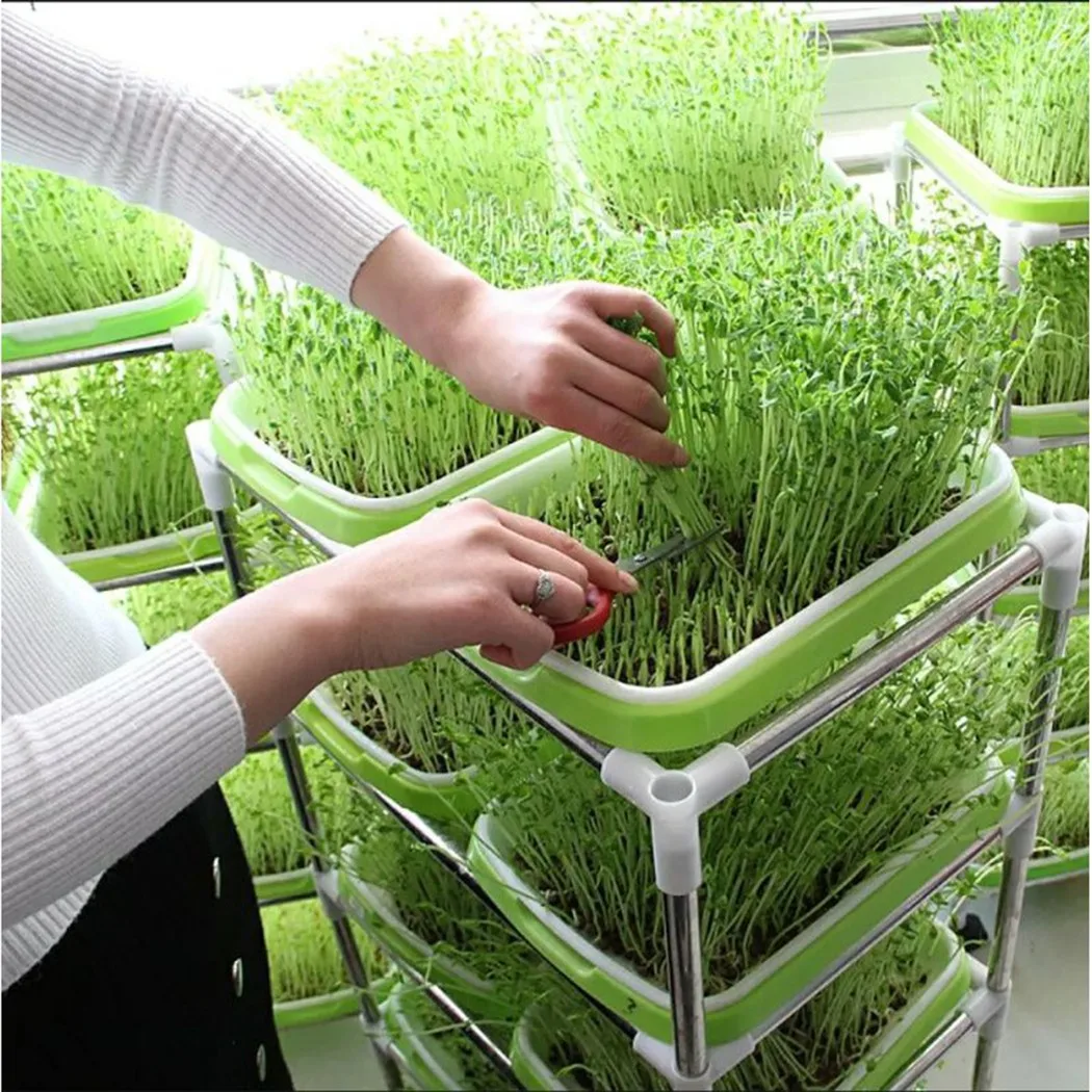 1pc Seed Sprouter Tray Soil-Free Big Capacity Microgreens Hydroponic Tray 33cm x 26cm x 5cm For Sprouts Gardening Supplies