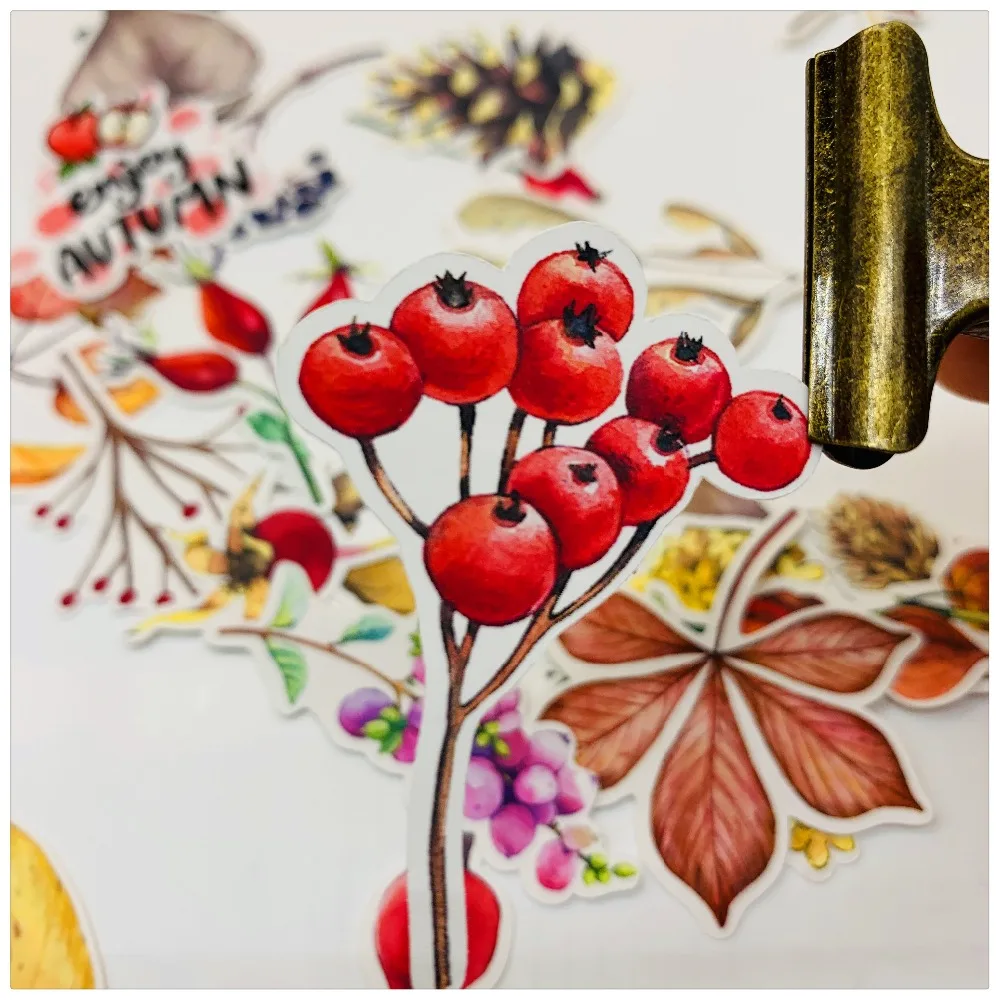 O1CN01X5xjeO29xQ9TvjsaE_!!1807168134