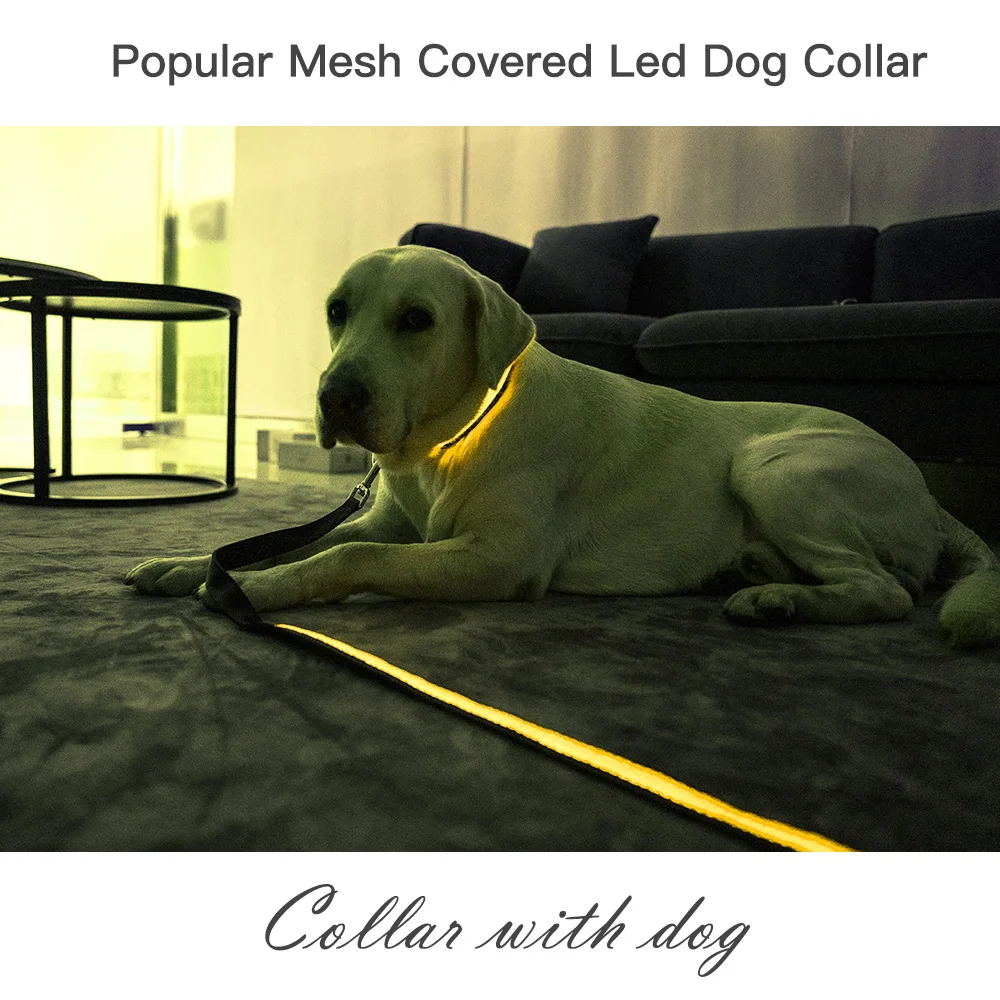 Dog Nylon Collar USB Flashing Charging LED Light Reflective Anti-Lost Rechargeable Glow Dog for Small Medium Large Dogs SuppliesDog Nylon Collar USB Flashing Charging LED Light Reflective Anti-Lost Rechargeable Glow Dog for Small Medium Large Dogs Supplies