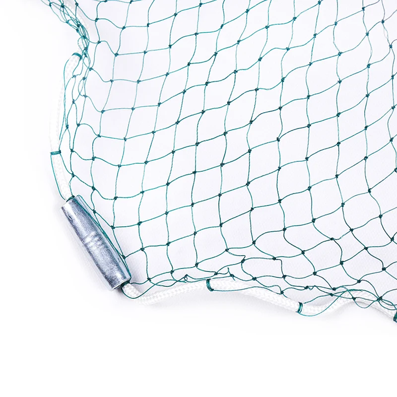 H581cacaad95c4388af54bf4a820909b1O