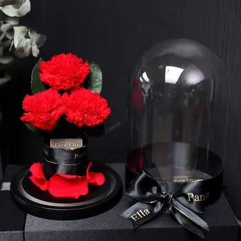

Enchanted Handmade Preserved Carnation Glass Dome on Wood Base For Mother's Day N1HA