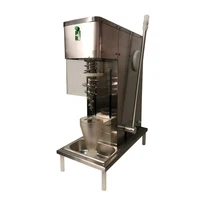 Freeze Fruit Yogurt Ice Cream Swirl Mixer Blender Real Ice Cream Maker Fruit Ice Cream Blender Mixer Machine 2