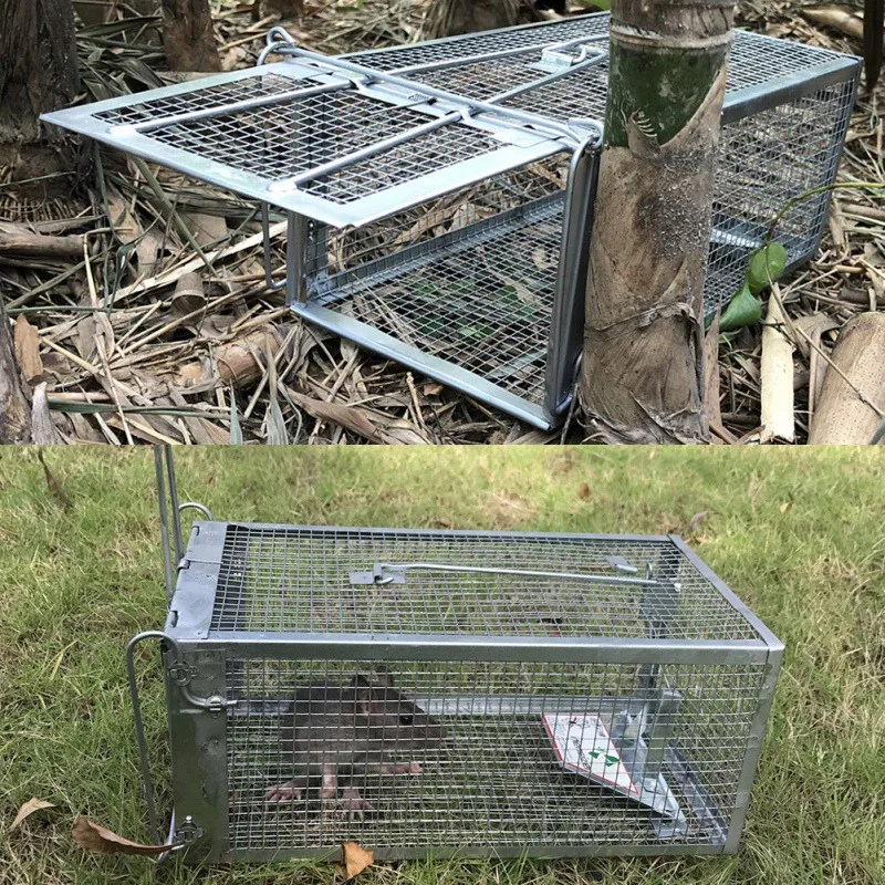 Mouse Cage Trap With High-sensitivity Pedal Rat Repellent Pest Control Products Outdoor Garden Supplies