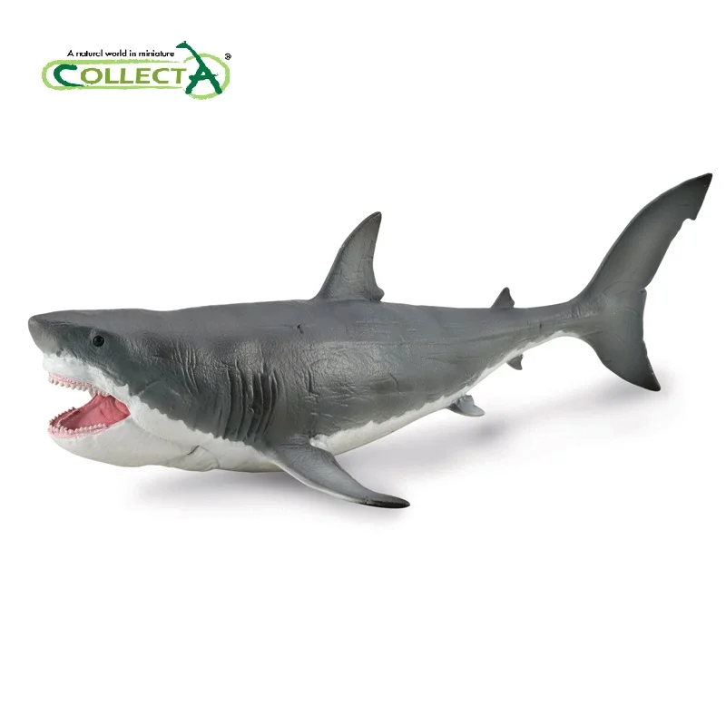 1:40 Collecta Sea Life Megalodon Shark Classic Toys For Children Boys Collection Prehistoric Animal Model Movalbe Jaw 88887 | Игрушки и