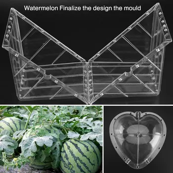 

Pumpkin Mould Watermelon Mould Watermelon Mold Strong Transparent PE 2 Shape Square/Heart-Shaped Botany Plant Garden Farmland