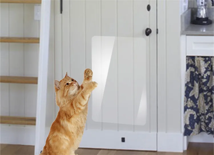 10716924984_1891774041