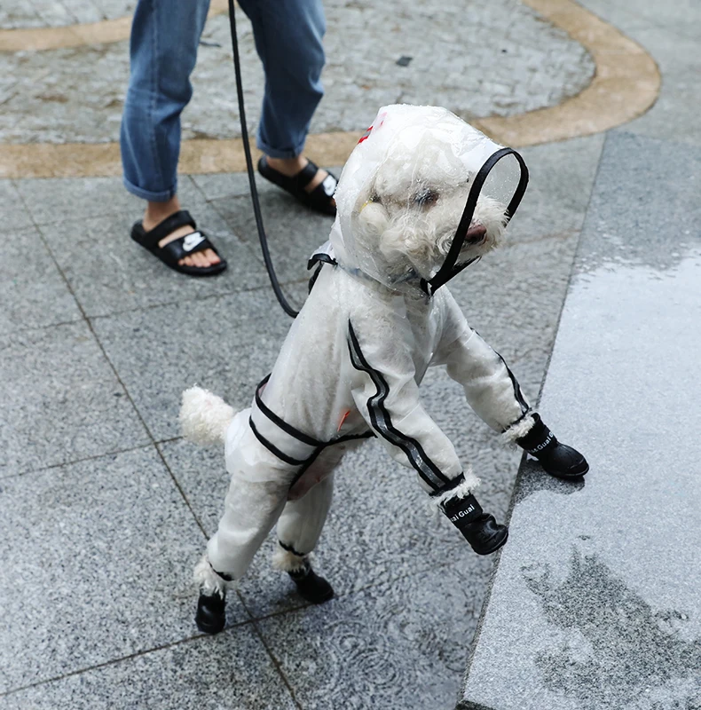 cachorro quatro pés com capuz transparente à