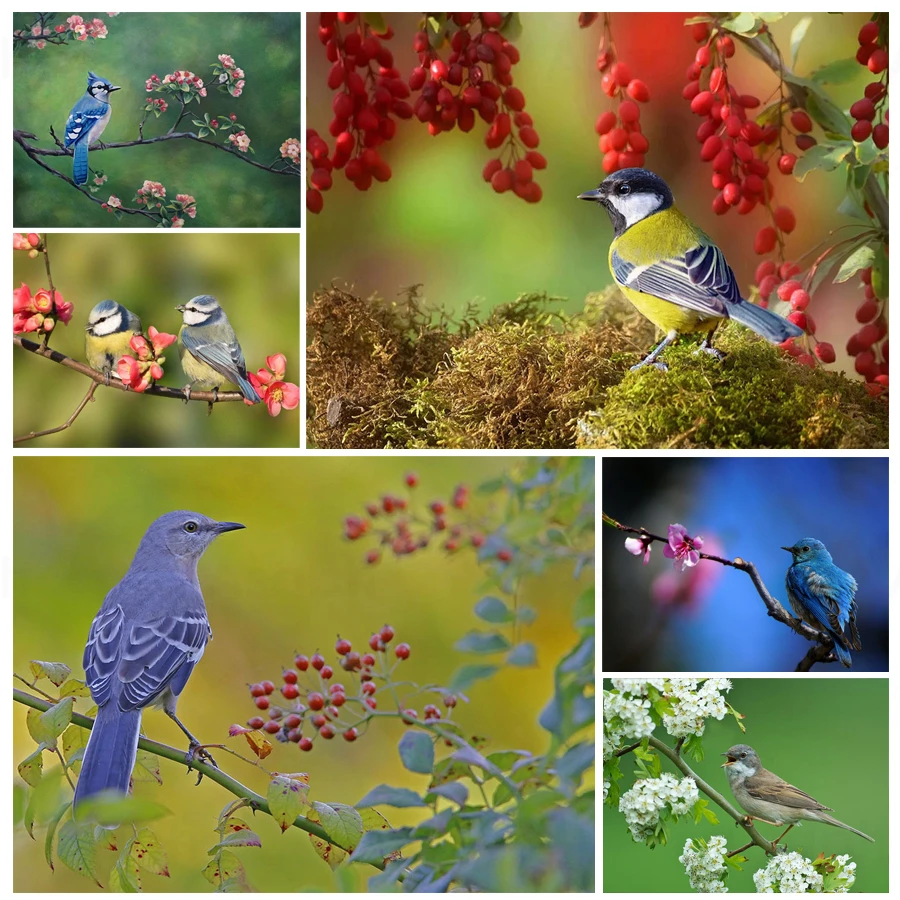 

Colorful Nature Little Birds 5D Diy Full Square and Round Diamond Painting Embroidery Cross Stitch Kit Wall Art Home Decor