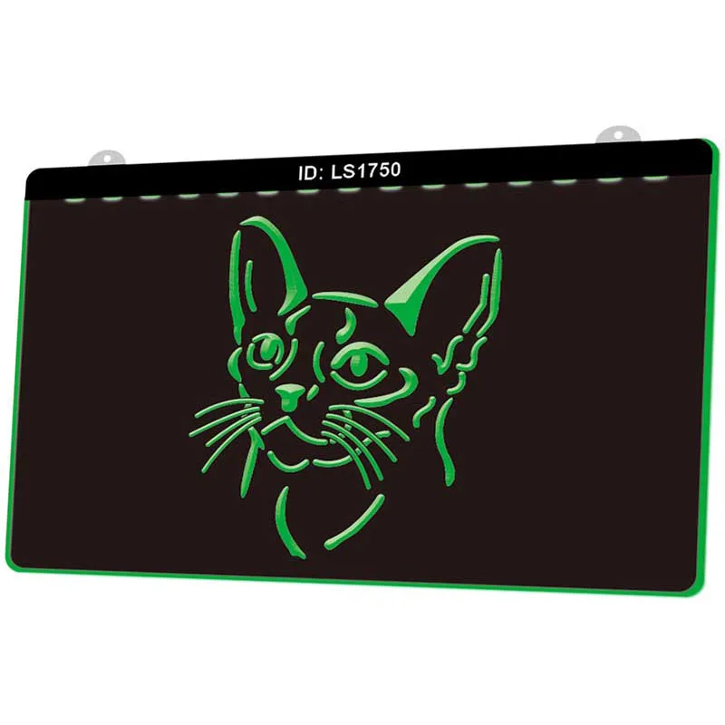 LS1750 Abyssinian Cat Pet Shop подарок милый новый 3D гравировальный светодиодный световой