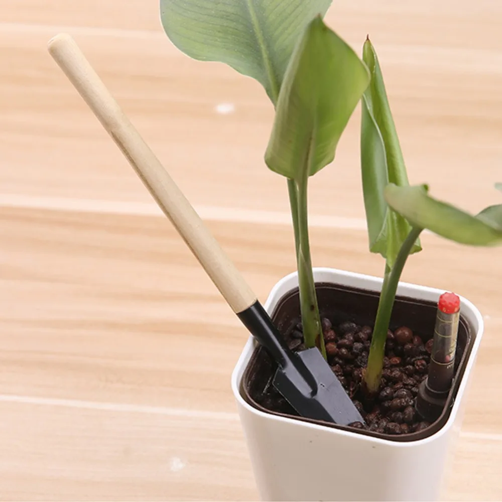 313017_no-logo_313017-1-14-g