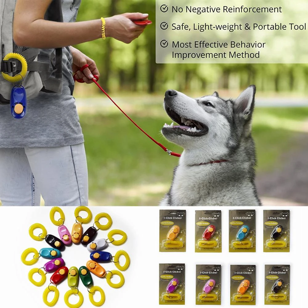 dog training clicker pets at home