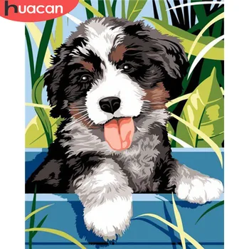 

HUACAN Pictures By Numbers Dog Animal Kits Drawing Canvas HandPainted DIY Oil Painting Home Decoration Art